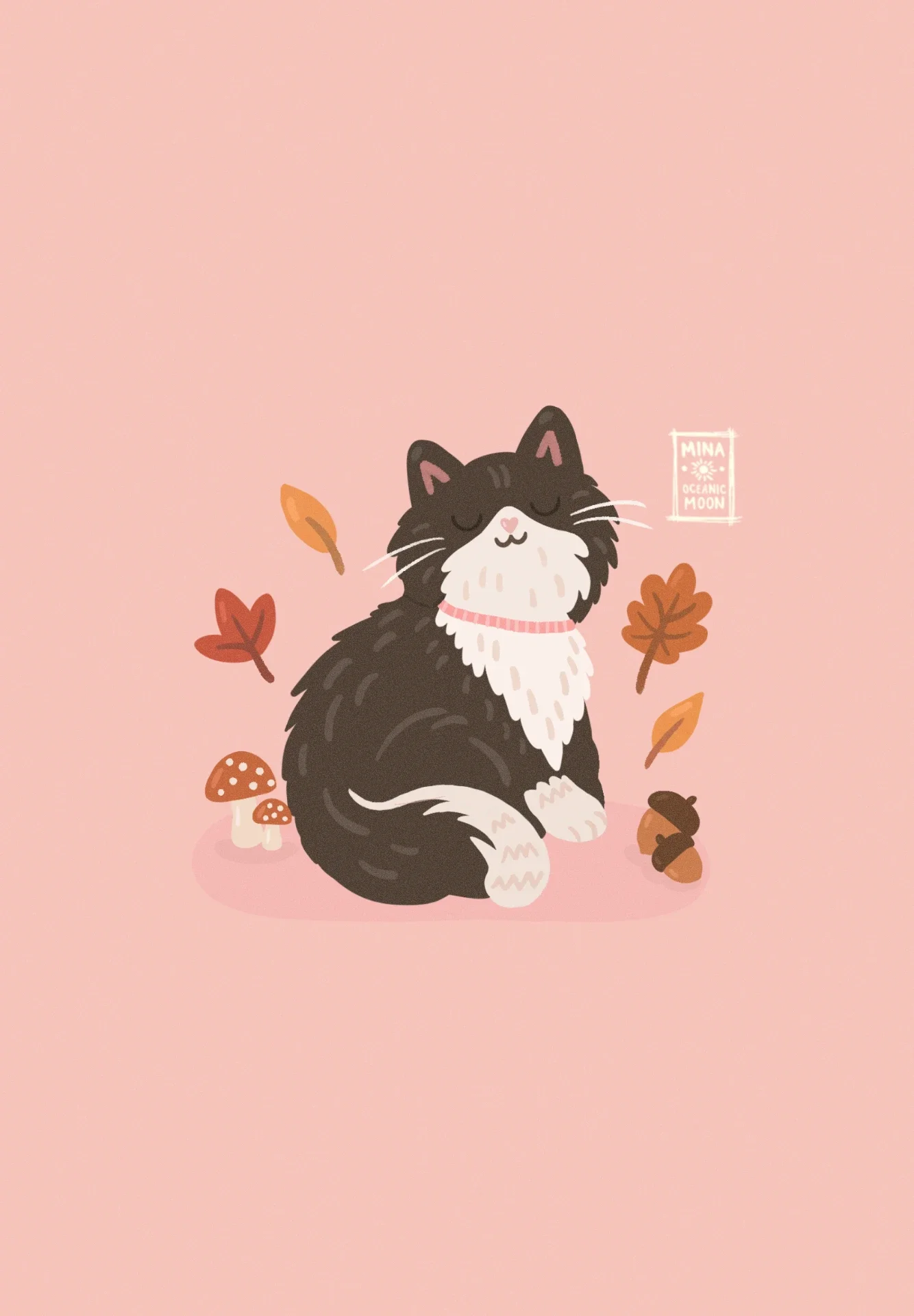 Gato otoñal